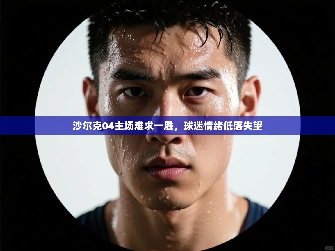 开云体育app下载-沙尔克04主场难求一胜,球迷情绪低落失望 第3张