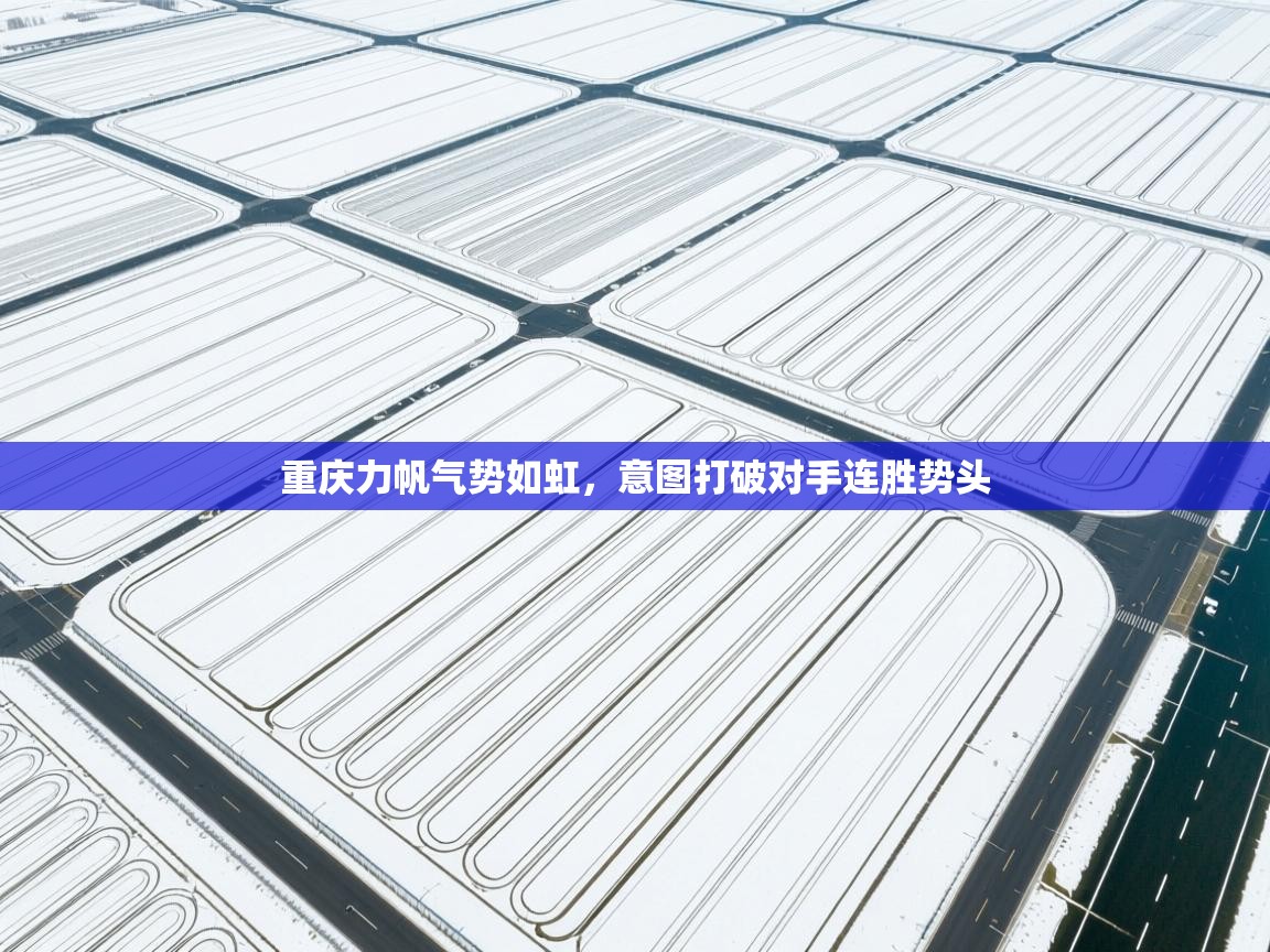 开云手机版-重庆力帆气势如虹，意图打破对手连胜势头  第3张